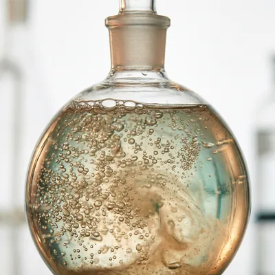 Lotus root fermentation culture