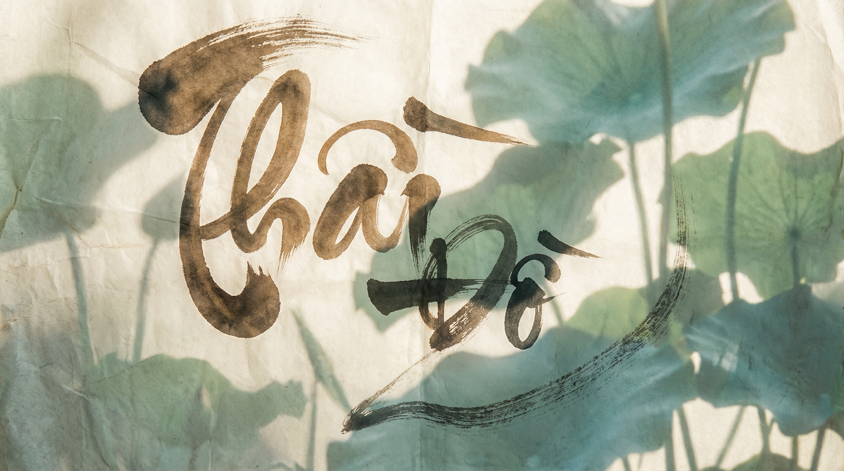 Calligraphy with lotus leaf shadows, landscape